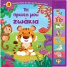 Ta Prota Mou Zoakia - 8 Hxoi