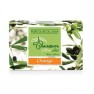 Pure Olive Oil Soap Bars