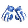 Ellas Boxing Gloves